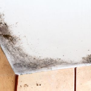 Say goodbye to moldy bathroom ceilings with these simple tips! Learn how to keep your bathroom clean and dry and prevent mold growth with our easy-to-follow guide.