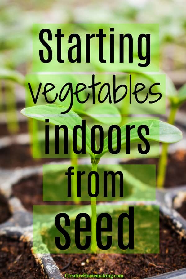 Growing vegetable seedlings indoors in spring