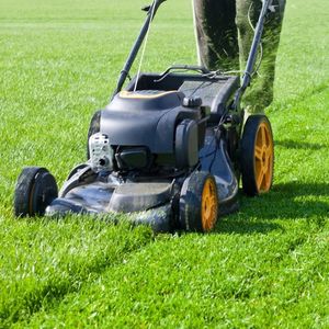 Why lawn aeration is important.