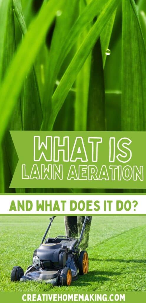 A quick overview of lawn aeration, why it can be important, and how it can help your lawn. 