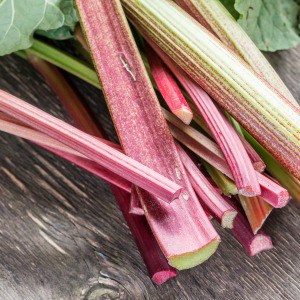 Easy tips for growing rhubarb in your vegetable garden. When to plant rhubarb, how to plant rhubarb, and easy rhubarb recipes.