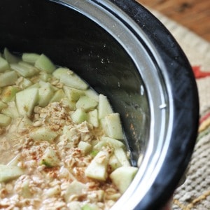 Easy recipe for crock pot apple cinnamon oatmeal. One of my favorite overnight crock pot oatmeal recipes!