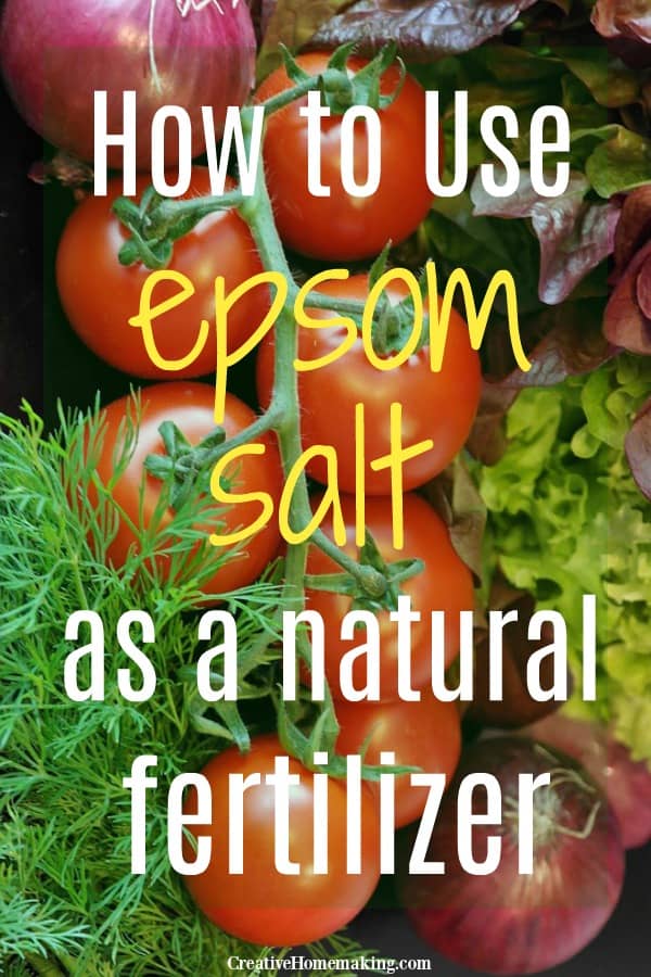 Using Epsom Salt As A Natural Fertilizer In The Garden Creative