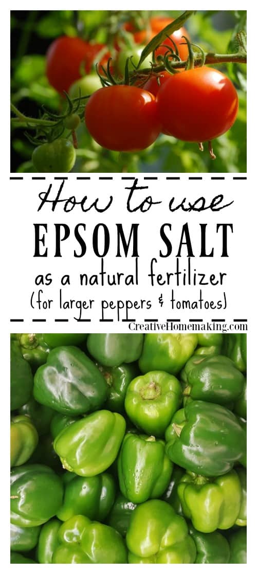 Using Epsom Salt as a Natural Fertilizer in Your Garden Creative