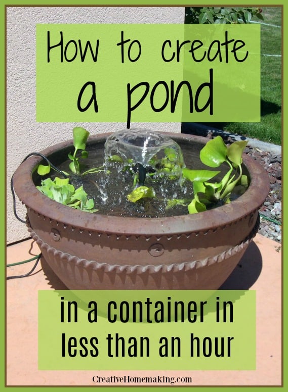 Easy step by step guide to building a pond in a container in less than in hour. 