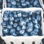 blueberry jam recipe