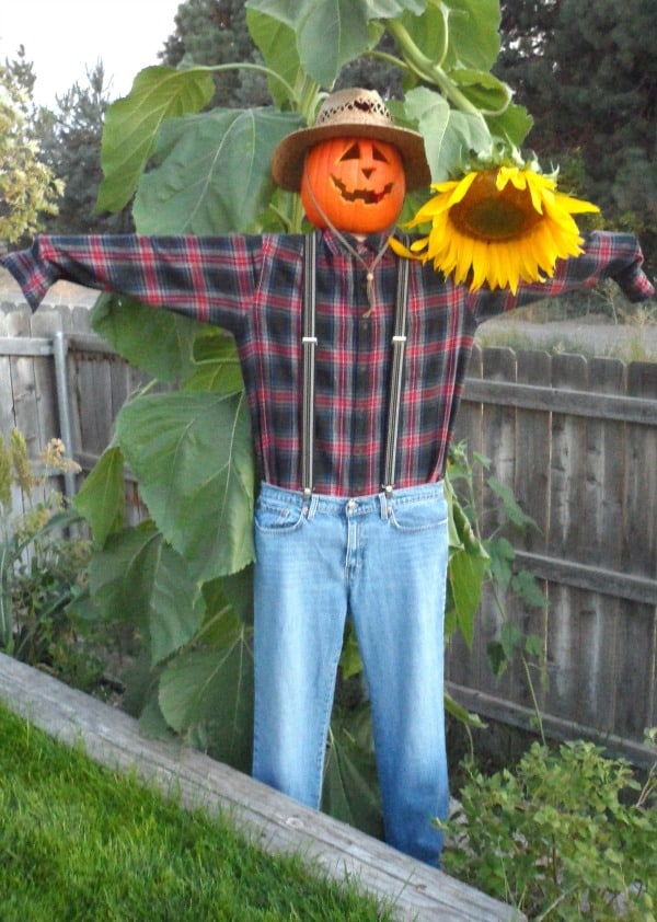Easy, inexpensive DIY scarecrow you can use year after year to decorate for fall or Halloween.