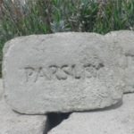 Easy DIY plant marker made of concrete for your herb garden.