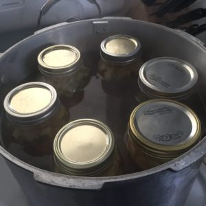 Expert advice for cooling your canning jars and testing your jar lids to make sure they have sealed.