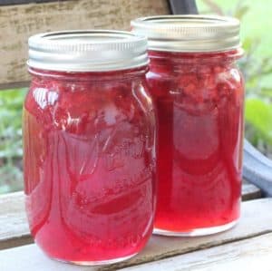 Canning strawberry lemonade jam. If you like strawberry lemonade, then you will love this easy homemade strawberry lemonade jam. Easy water bath canning for beginners.