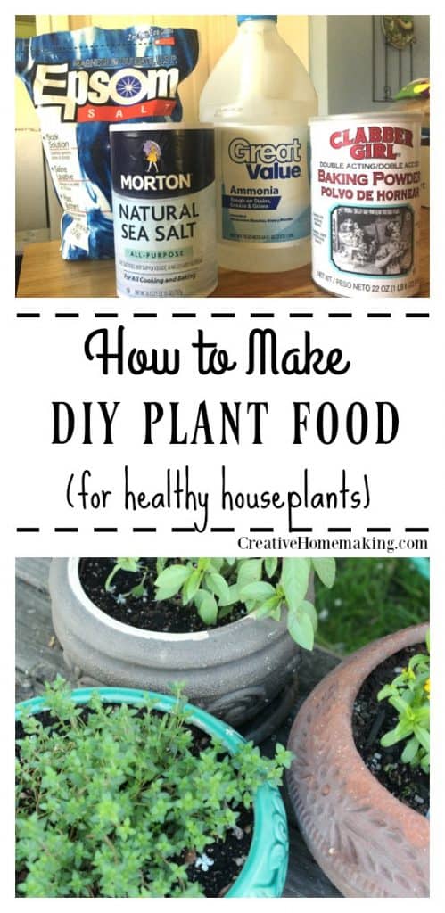 DIY plant food for houseplants. Easy inexpensive care for indoor houseplants.