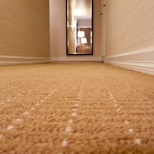 How to remove carpet indentations. Some of my favorite carpet cleaning tips related to home care.