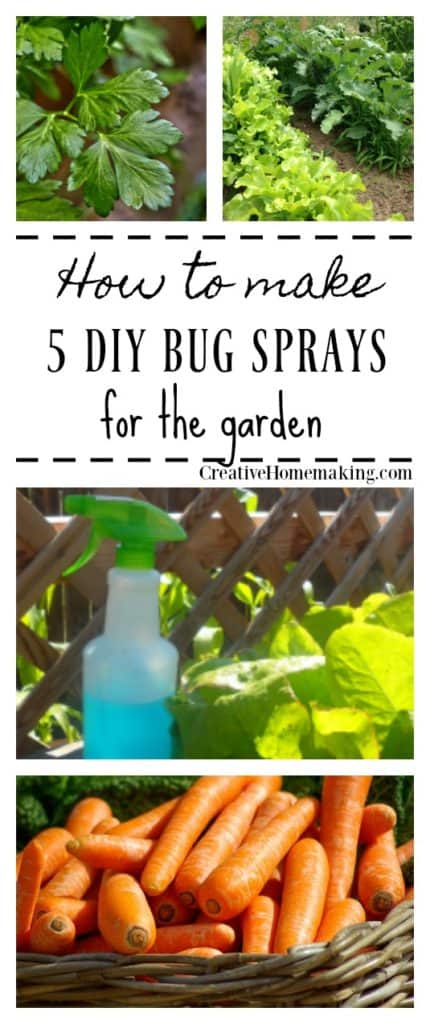 5 easy DIY bug sprays to make to fight unwanted pests in the garden.