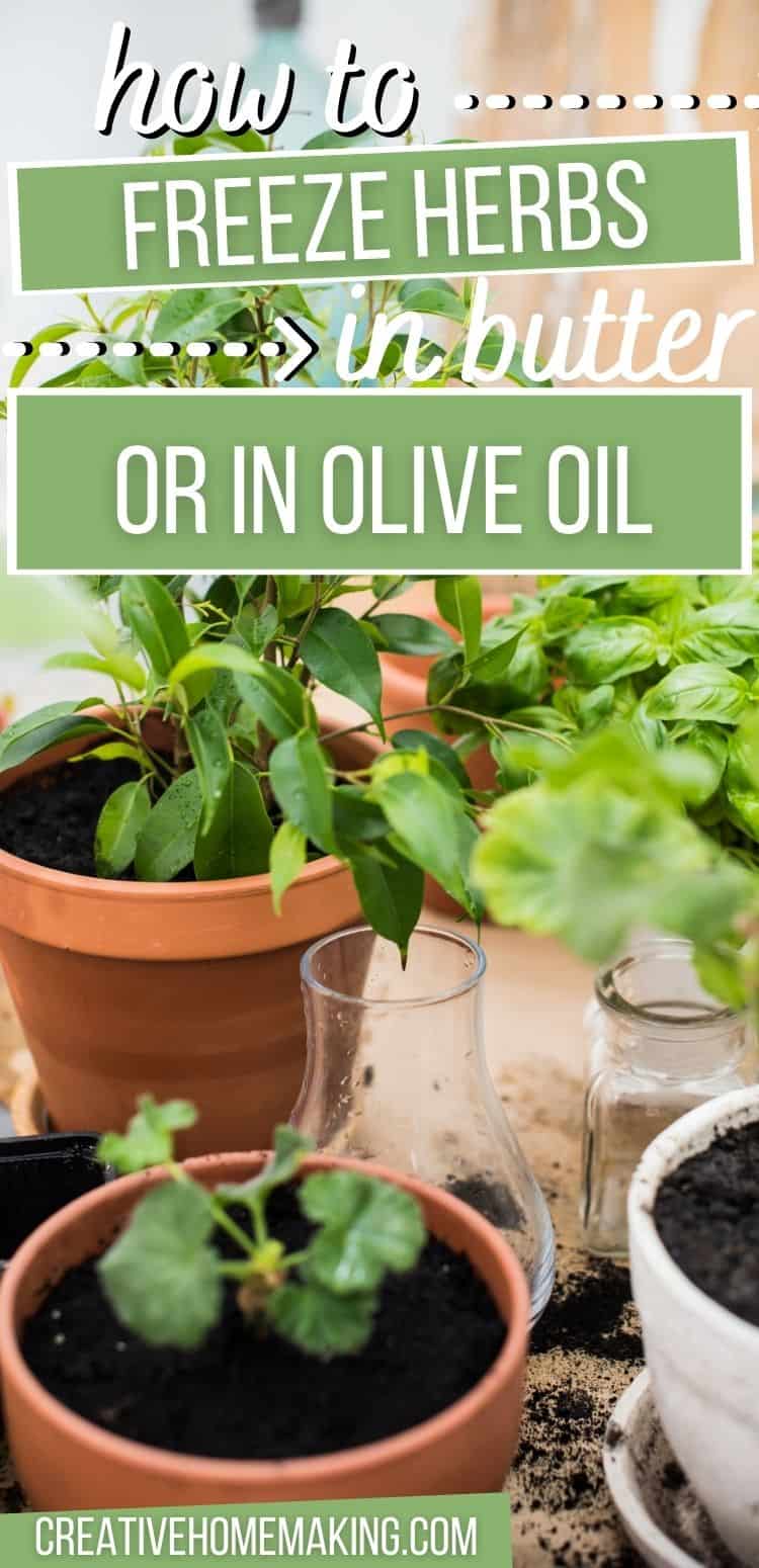 How to Freeze Herbs in Butter or Olive Oil Creative Homemaking