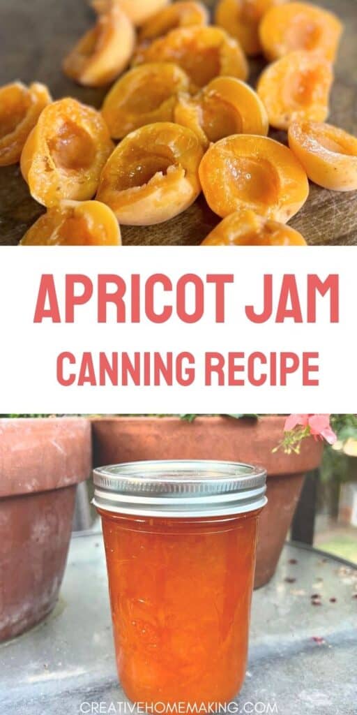 There's nothing quite like the taste of homemade apricot jam. Learn how to can your own with our step-by-step guide.