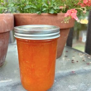 Looking for a delicious way to preserve the taste of summer? Try canning apricot jam! Our easy recipe is perfect for beginners and seasoned canners alike.