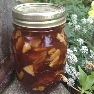 Easy recipe for canning caramel apple jam. One of my favorite fall canning recipes!