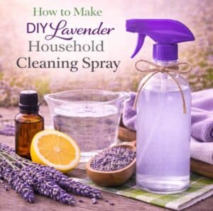 Homemade Lavender Cleaner (Simple Natural All-Purpose Spray)