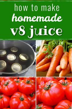 Homemade v8 outlet juice