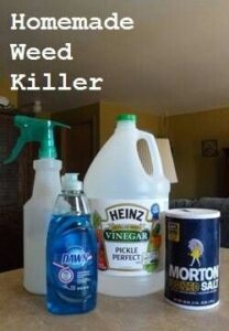 Homemade Weed Killer - Creative Homemaking