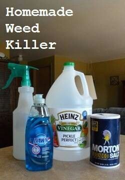 Homemade weed killer recipe for killing weeds in your yard and around your garden.