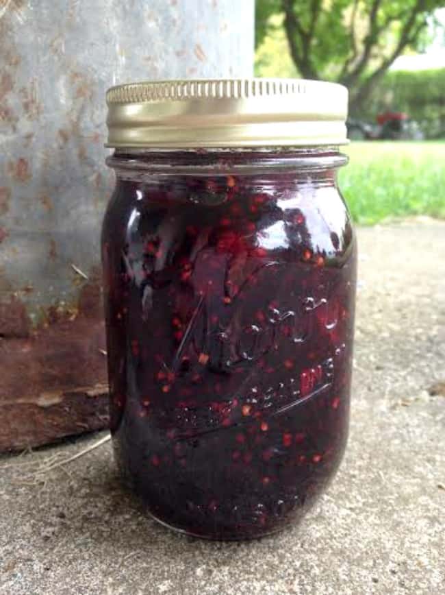 Recipe for canning blackberry jam with either liquid pectin or powdered pectin.