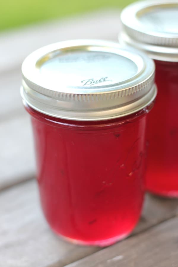 Easy recipe for canning plum jelly. Learn how to make jelly like a pro, just like grandma did.