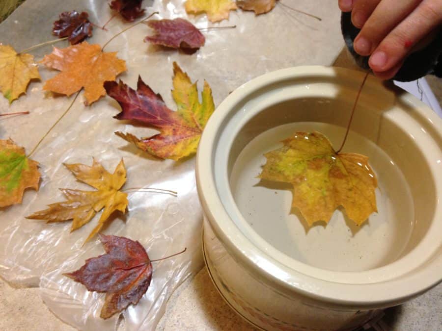 Make a paper leaves garland in 30 minutes