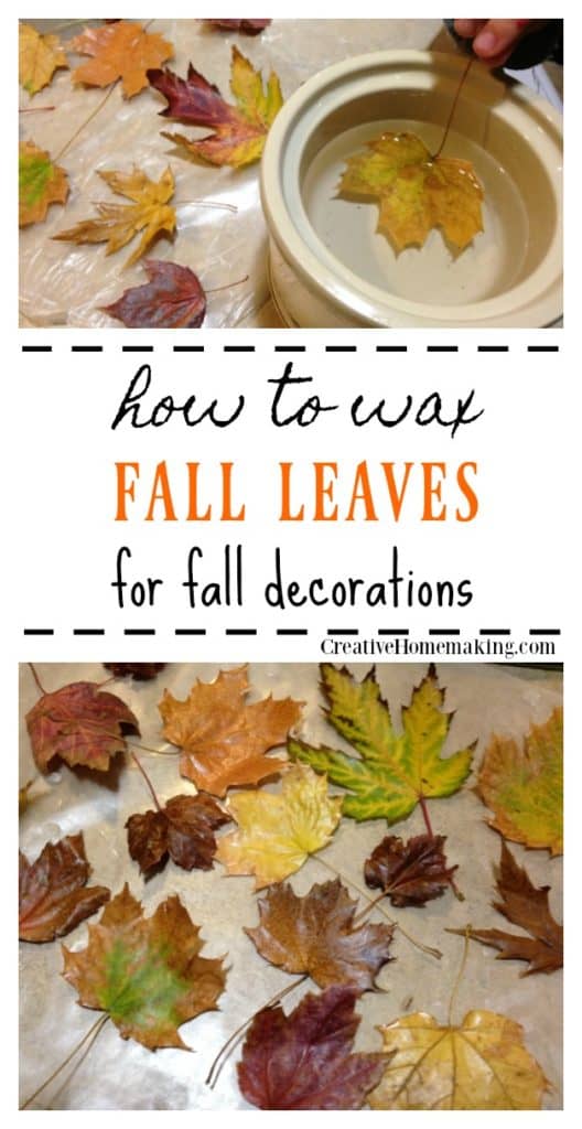 Waxing fall leaves. Easy instructions for making waxed fall leaves for autumn or Thanksgiving decorations.
