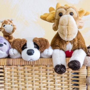 Four ways to creatively display your children's stuffed animals so that they will be organized and can be enjoyed the way they were always meant to be.