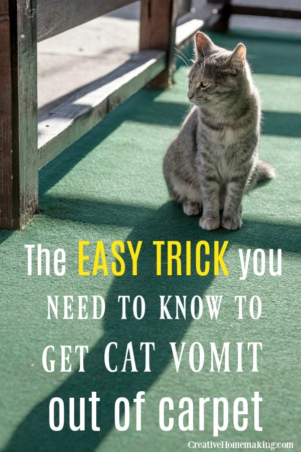 The easy trick you need to know to remove cat vomit from carpet. One of my favorite carpet cleaning hacks!