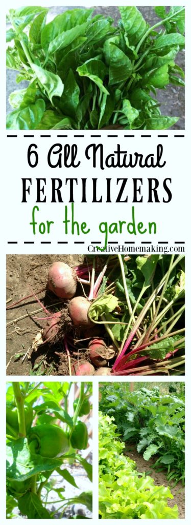 Tips for using household items like egg shells, coffee grounds, epsom salt, and grass clippings to make all natural homemade fertilizer for your garden.
