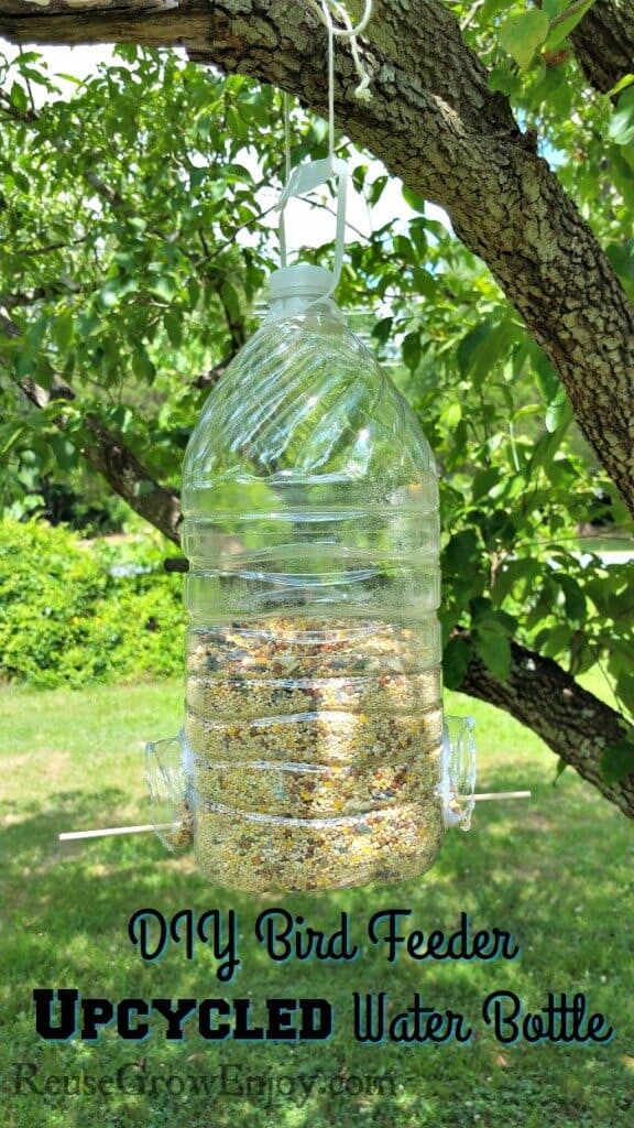 DIY soda bottle bird feeder