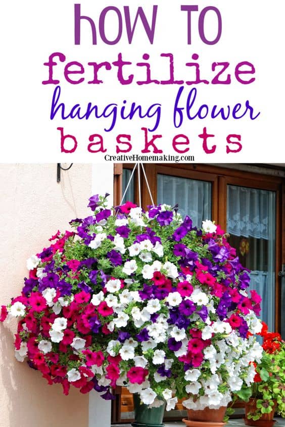 Make your hanging flower baskets the envy of the neighborhood with these simple fertilizing techniques. From choosing the right fertilizer to applying it correctly, our guide has got you covered. Get ready to enjoy a stunning and vibrant display of flowers with these expert tips!