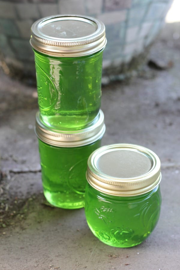 Easy recipe for canning mint jelly. Canning for beginners.