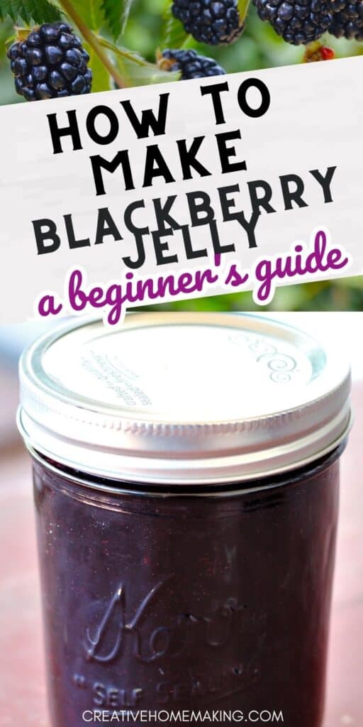Preserve the sweet and tangy taste of fresh blackberries with our easy canning recipe for homemade blackberry jelly. Perfect for spreading on toast or adding to your favorite recipes, this delicious jelly is a must-try for any berry lover. Learn how to can blackberry jelly today!