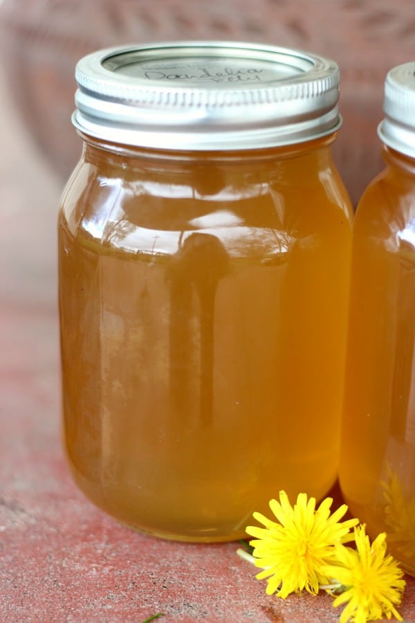 Easy recipe for canning homemade dandelion jelly. Tastes just like honey!