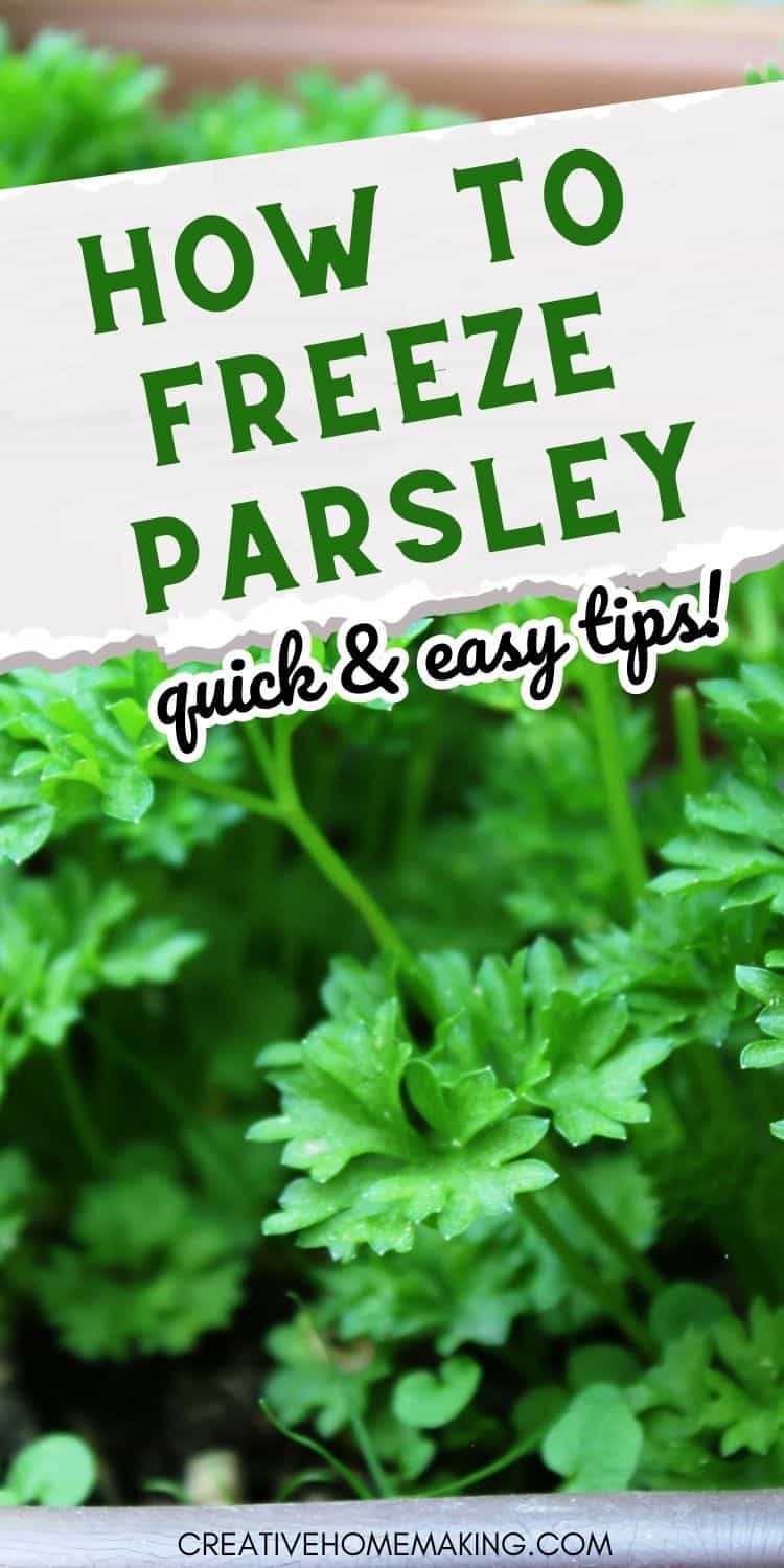 How to Freeze Parsley Quick and Easy Tips Creative Homemaking
