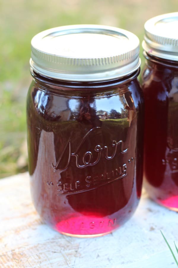 Easy recipe for canning old-fashioned homemade grape jelly. Learn how to make jelly like a pro!