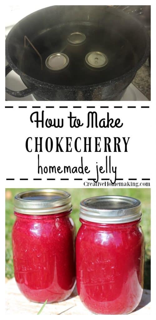 Discover the taste of the wild with our homemade chokecherry jelly. Made from handpicked chokecherries, this jelly is a perfect blend of sweet and tart flavors that will tantalize your taste buds. With our easy-to-follow canning instructions, you can preserve the goodness of chokecherries and enjoy the taste of summer all year round. Spread this delicious jelly on your favorite bread, crackers, or use it as a glaze for meats. Try our recipe today and savor the unique taste of chokecherries in every bite!