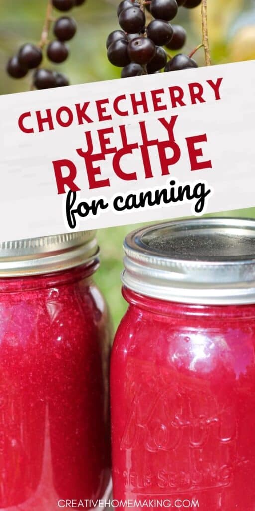Experience the unique taste of chokecherries with our homemade chokecherry jelly recipe. Made with wild chokecherries, this jelly is packed with a sweet and tangy flavor that's perfect for spreading on toast, muffins, and bagels. Follow our step-by-step canning instructions and enjoy the taste of nature's bounty in every jar of this delicious chokecherry jelly.