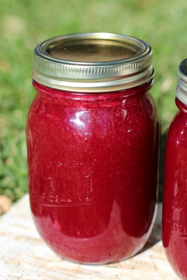 Canning chokecherry jelly from fresh chokecherries.