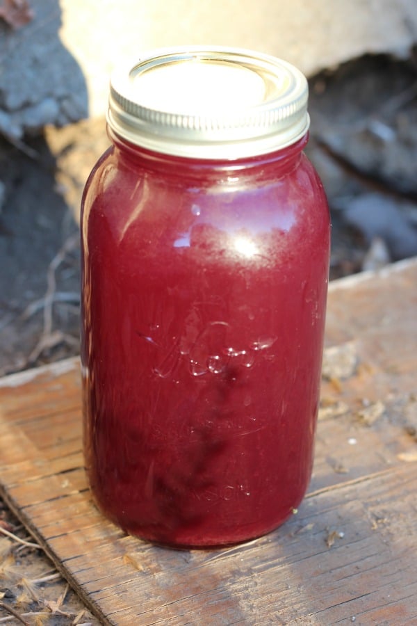 Easy recipe for canning grape juice from fresh grapes.