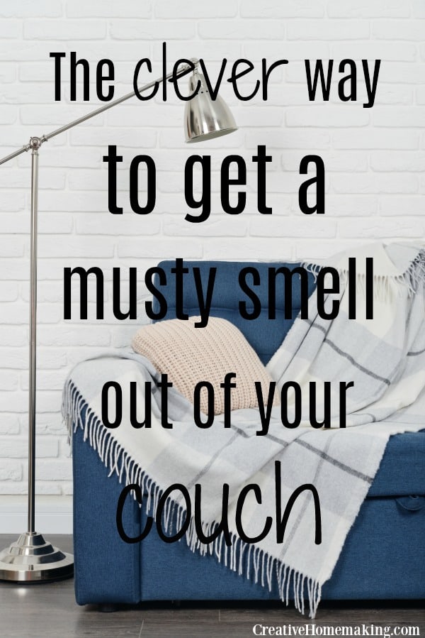 How To Get Rid Of Smell Of Sick On Sofa at Kelli Rocha blog