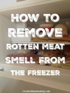rotten odor freezer