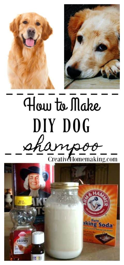 Easy DIY dog shampoo recipe made from oatmeal and tea tree oil.