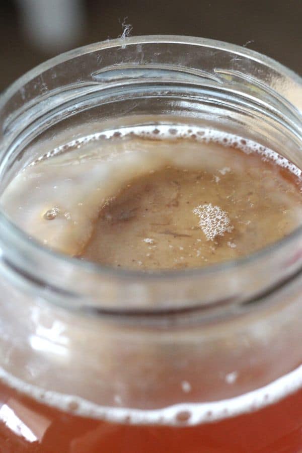 How to make kombucha with a scoby.