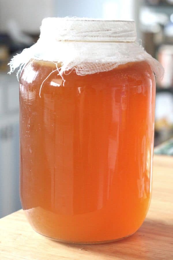 Kombucha For Beginners