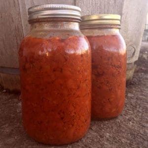Easy recipe for canning homemade chili.