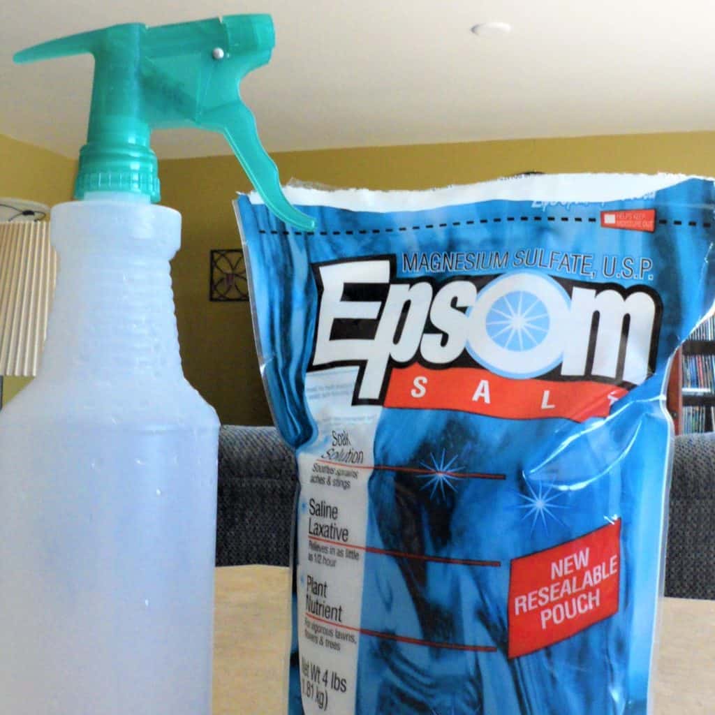 Using Epsom Salt as a Natural Fertilizer in the Garden - Creative